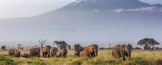 Visit Mount Kenya National Park